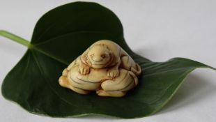 A 19th century Japanese ivory netsuke depicting two dogs 25mm high