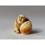 A 19th century Japanese ivory netsuke in the form of a boy crawling holding a large peach,