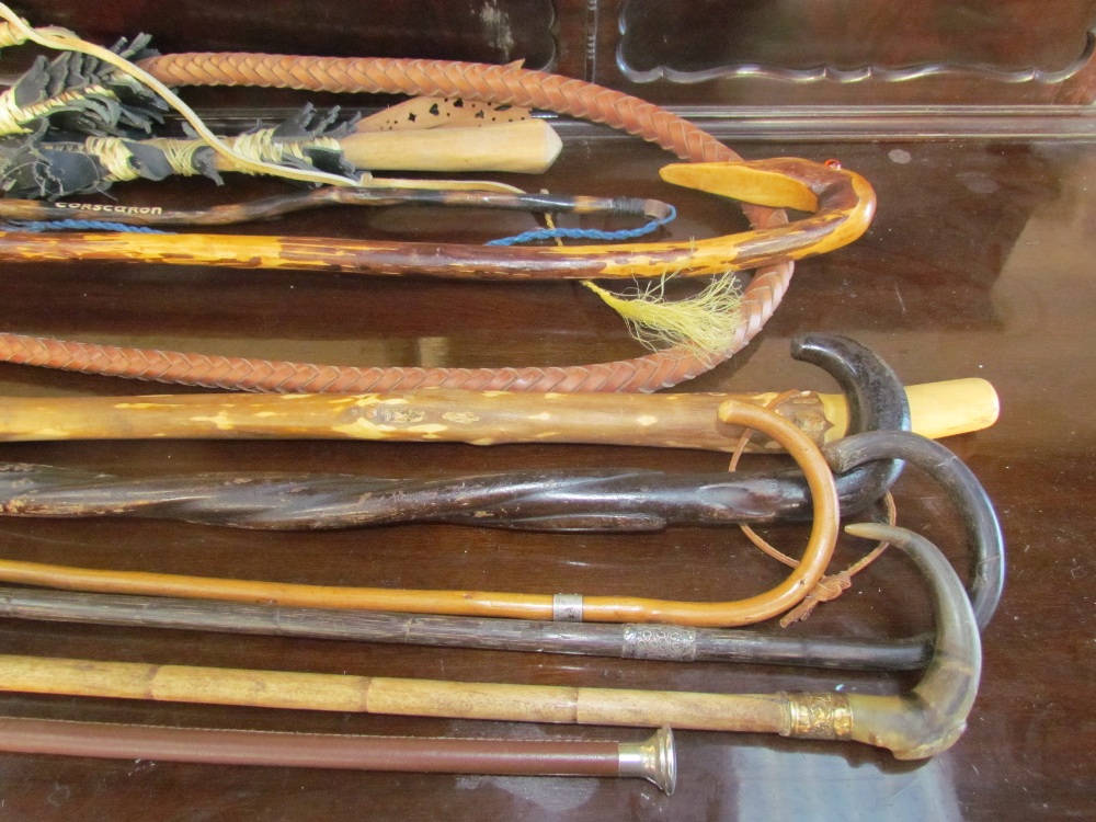 A collection of walking sticks and a whip - Image 2 of 2