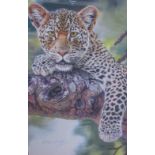 After Stephen Gayford Out of Sight A leopard in a tree branch A limited edition print