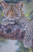 After Stephen Gayford Out of Sight A leopard in a tree branch A limited edition print