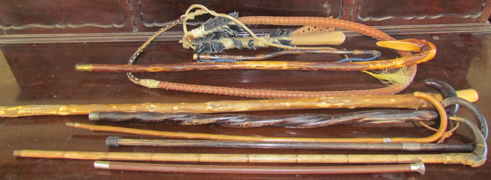 A collection of walking sticks and a whip