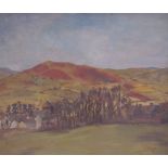 D M Raikes A landscape scene Oil on board Signed Together with assorted prints and a mirror