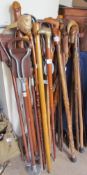 A large collection of walking sticks, shooting sticks etc