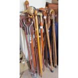 A large collection of walking sticks, shooting sticks etc