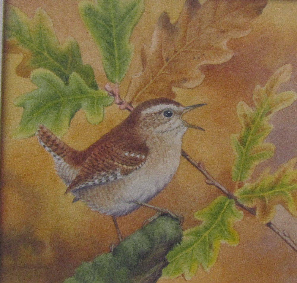 Peter Barrett Four long tailed tits on a thorn branch Signed Watercolour Together with another - Image 2 of 2