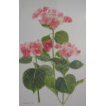 W J Waldron Floral study Watercolour Signed Together with a Celia Rosser print