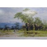 David Shepherd Amboseli A limited edition print No.