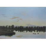 Peter Scott Ducks on a pond A print Signed in pencil to the margin Together with assorted pictures