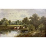 W King Cattle in a pond Oil on board Signed Together with a large quantity of paintings and prints