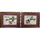 Two Chinese silk pictures of birds amongst foliage