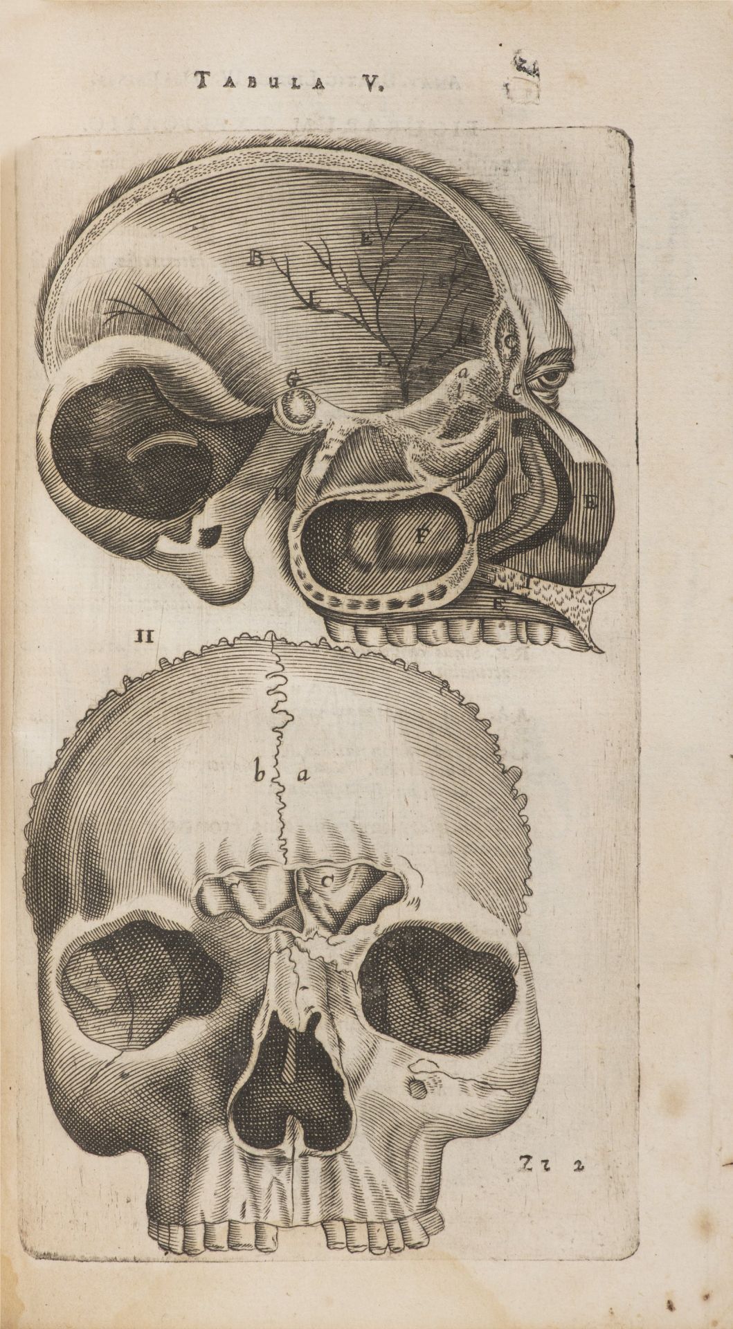 THOMAS BARTHOLIN 1616 - 1680: ANATOME QUARTUM RENOVATA 1677 Period full leather binding, wiped - Bild 8 aus 10
