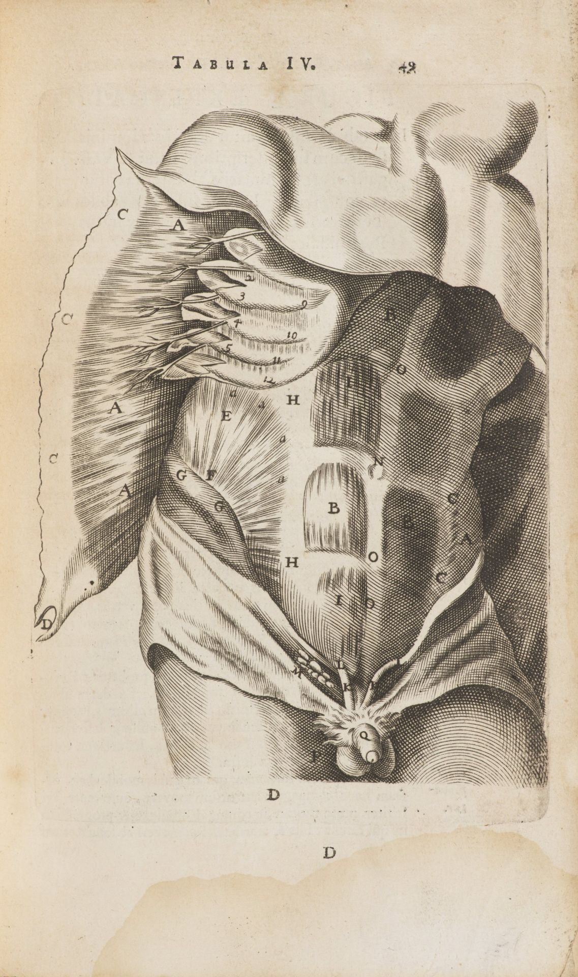 THOMAS BARTHOLIN 1616 - 1680: ANATOME QUARTUM RENOVATA 1677 Period full leather binding, wiped - Bild 2 aus 10