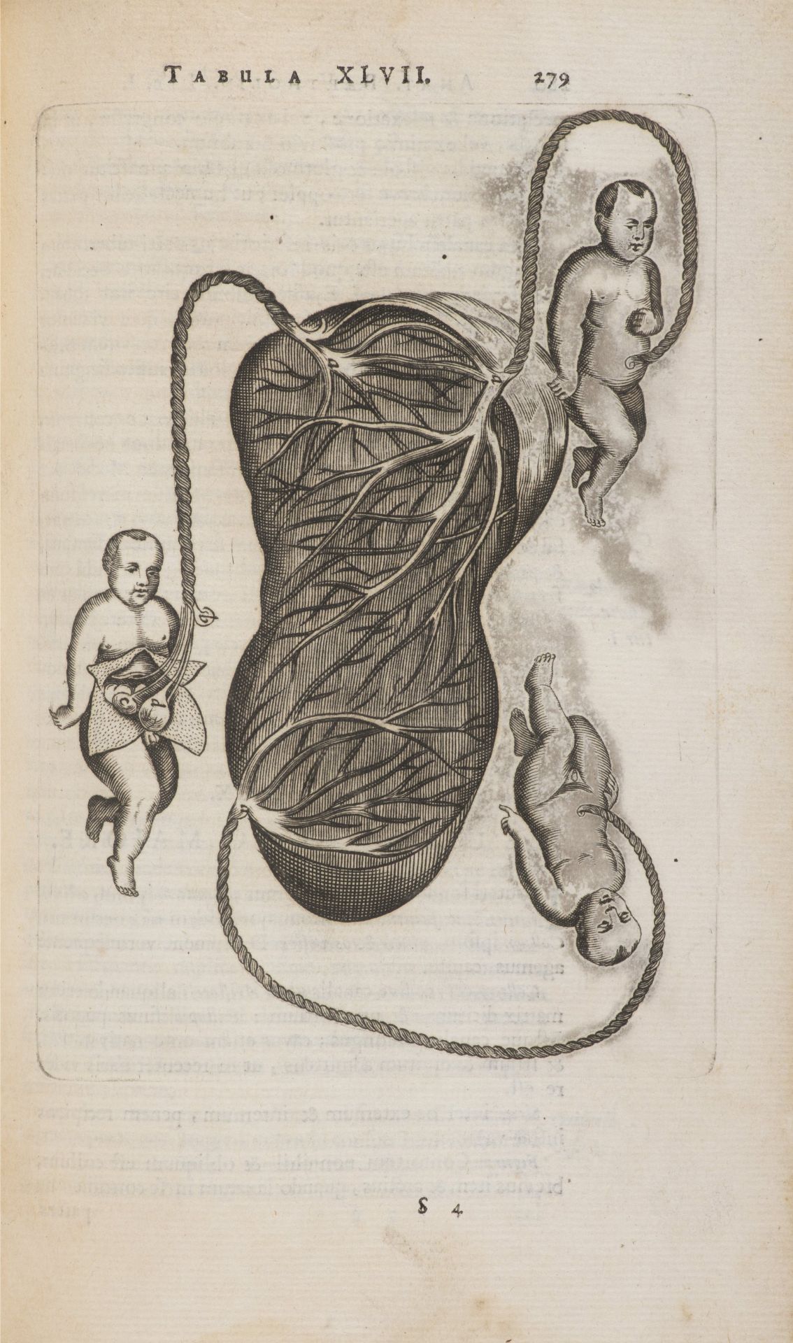 THOMAS BARTHOLIN 1616 - 1680: ANATOME QUARTUM RENOVATA 1677 Period full leather binding, wiped - Bild 3 aus 10