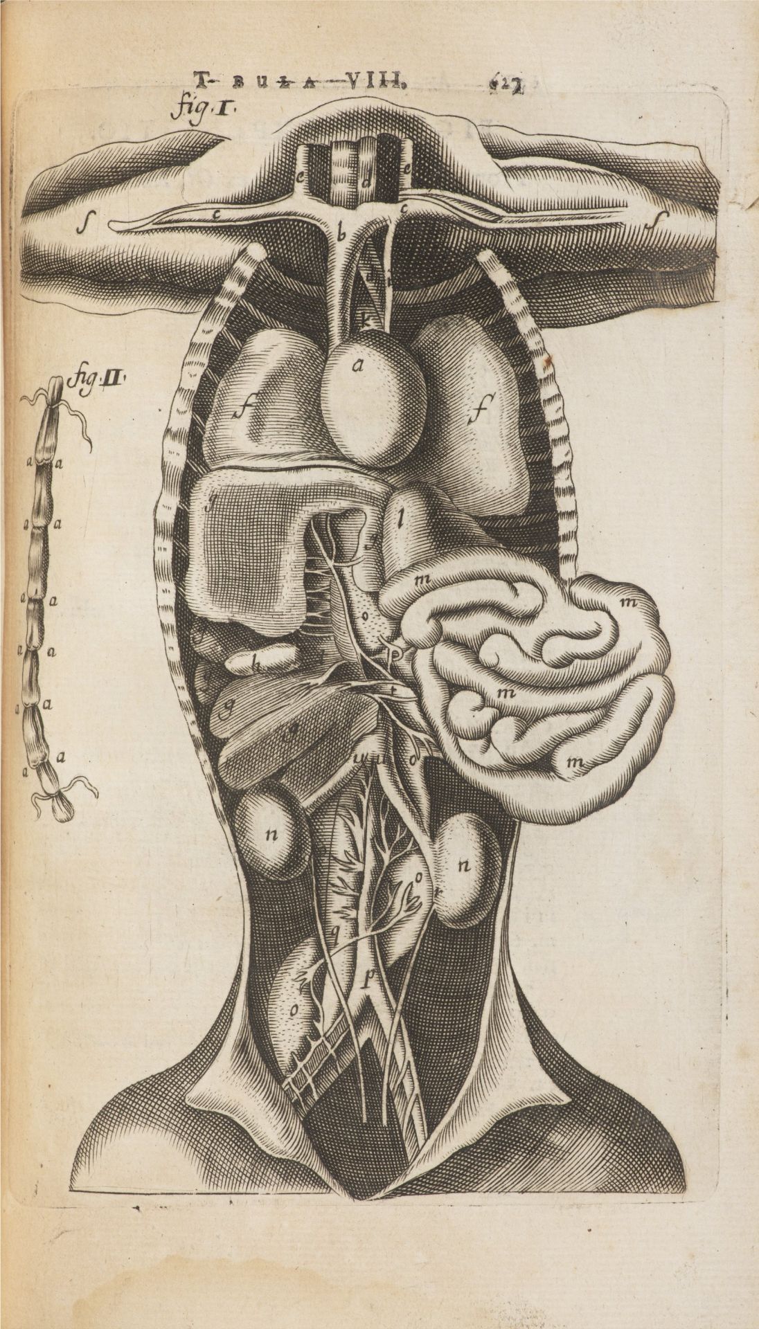 THOMAS BARTHOLIN 1616 - 1680: ANATOME QUARTUM RENOVATA 1677 Period full leather binding, wiped - Bild 7 aus 10