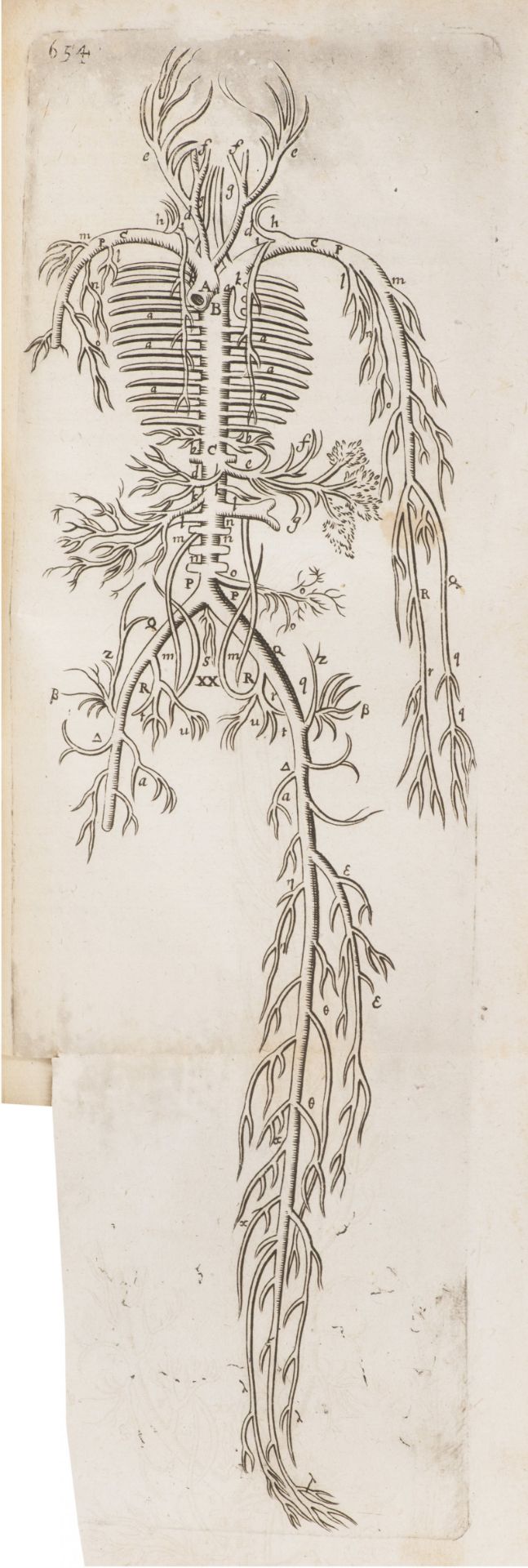 THOMAS BARTHOLIN 1616 - 1680: ANATOME QUARTUM RENOVATA 1677 Period full leather binding, wiped - Bild 9 aus 10