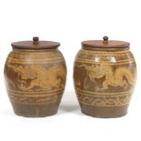 Chinese Earthenware Dragon Urns