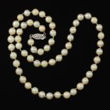 Ladies' Gold and Pearl Single-Strand Necklace