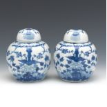Two Chinese Blue and White Porcelain Jars with Covers
