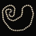 Ladies' Gold and Pearl Single-Strand Necklace