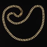 Gold Curb-Link Necklace