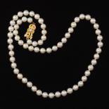 Ladies' Mikimoto Pearl and Gold Necklace