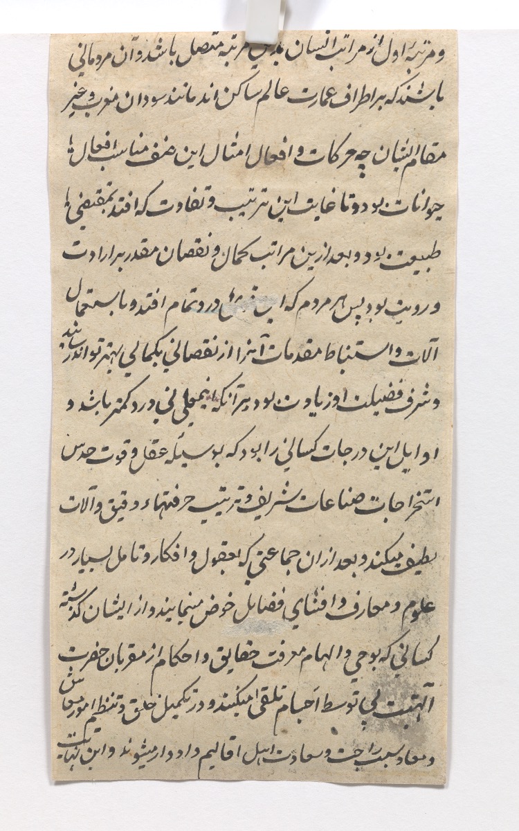 Antique Persian Illuminated Manuscript Paintings - Image 12 of 12