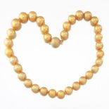 Golden South Sea Pearl Necklace