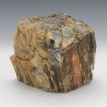 Prehistoric Agatized Petrified Wood