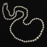 Ladies' Gold and Pearl Necklace