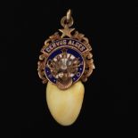 Unusual Fraternity Gold, Enamel and "Cervus Alces" Elk Tooth Pendant