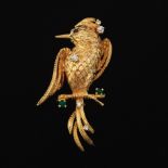 Ladies' Gold, Diamond, Emerald and Ruby Bird of Paradise Pin/Brooch