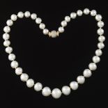 Ladies' South Sea Pearl and Diamond Clasp Necklace