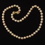 Ladies' Gold Tone Pearl and Gold Bow Clasp Necklace