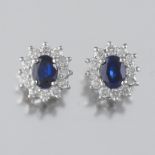 Ladies' Gold, Blue Sapphire and Diamond Pair of Earrings