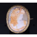 ANTIQUE VICTORIAN SHELL CAMEO BROOCH