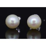 PAIR OF NATURAL SALTWATER PEARL EARSTUDS