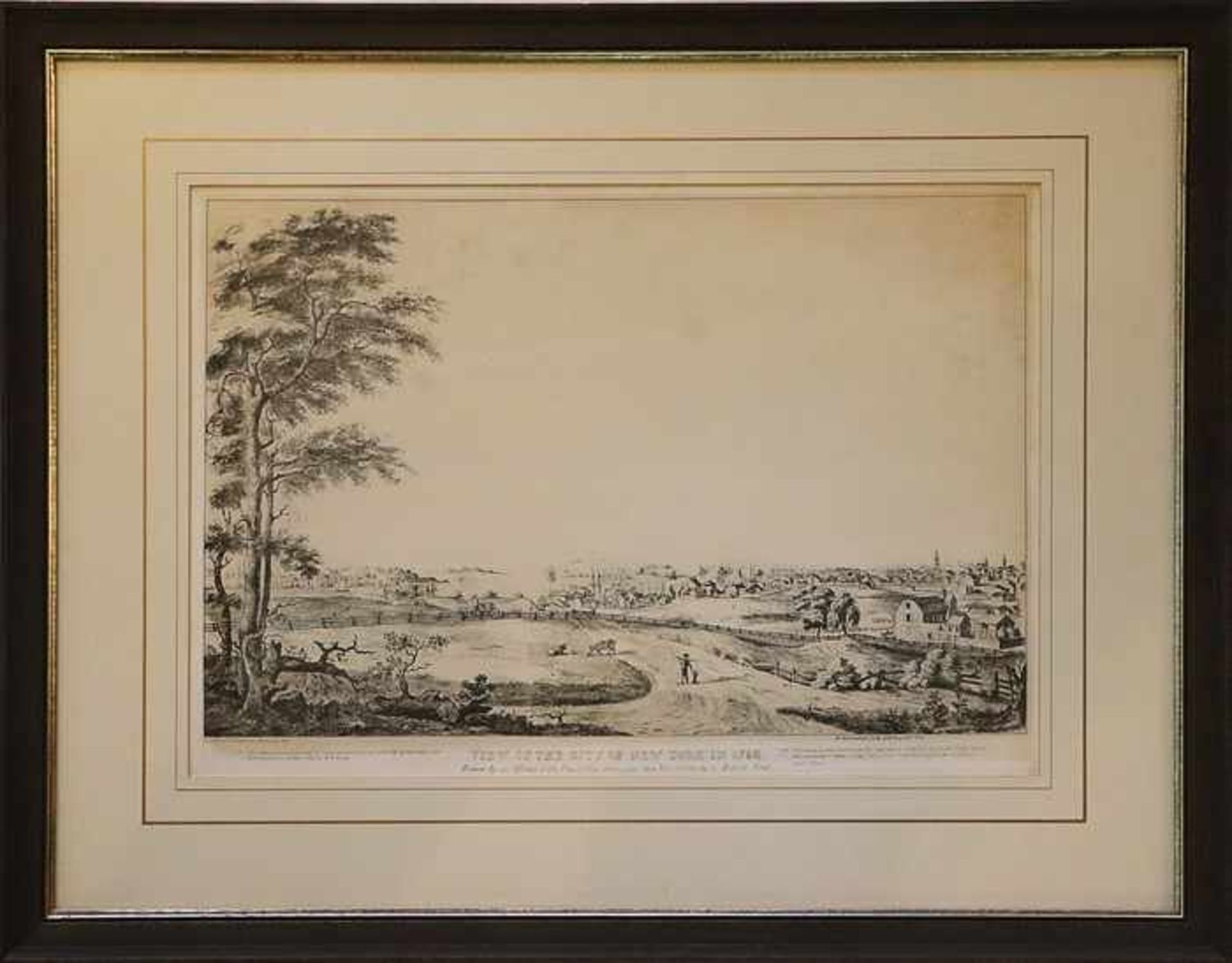 Hayward, G. - New Yorkbez. "View of the city of New York in 1792", Litho., Kopie f. David Thomas