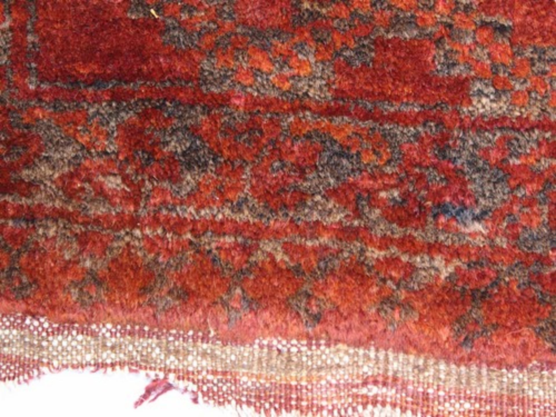 OrientteppichAfghanistan, Wolle/Wolle, hoher Flor, rot/gold, schwarz, mehrfach Bordüre, im Feld 2 - Image 6 of 8