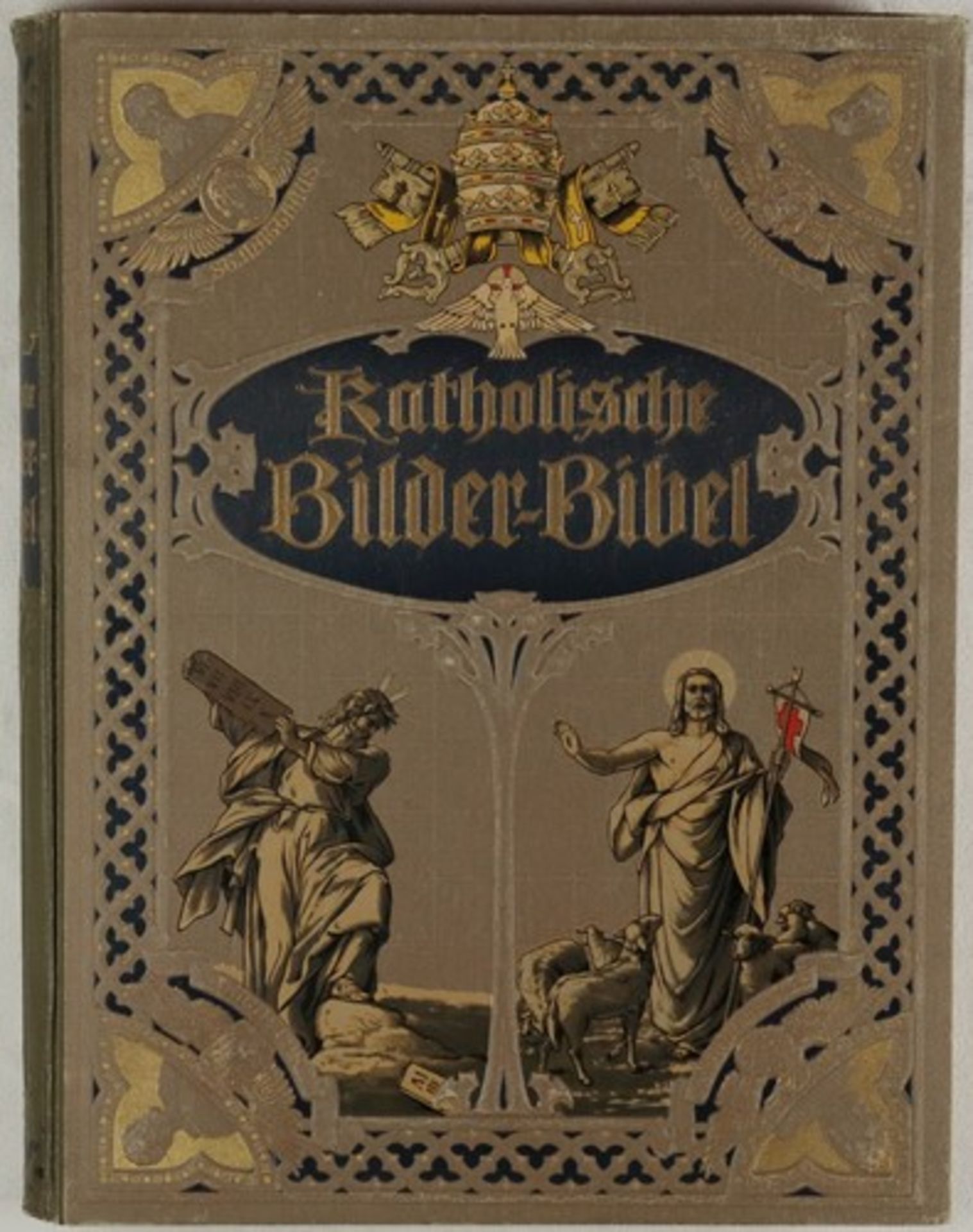 Bibel"Katholische Bilderbibel", 1909, Druck v. Hallberg & Büchting Leipzig, großformatige Bilder,