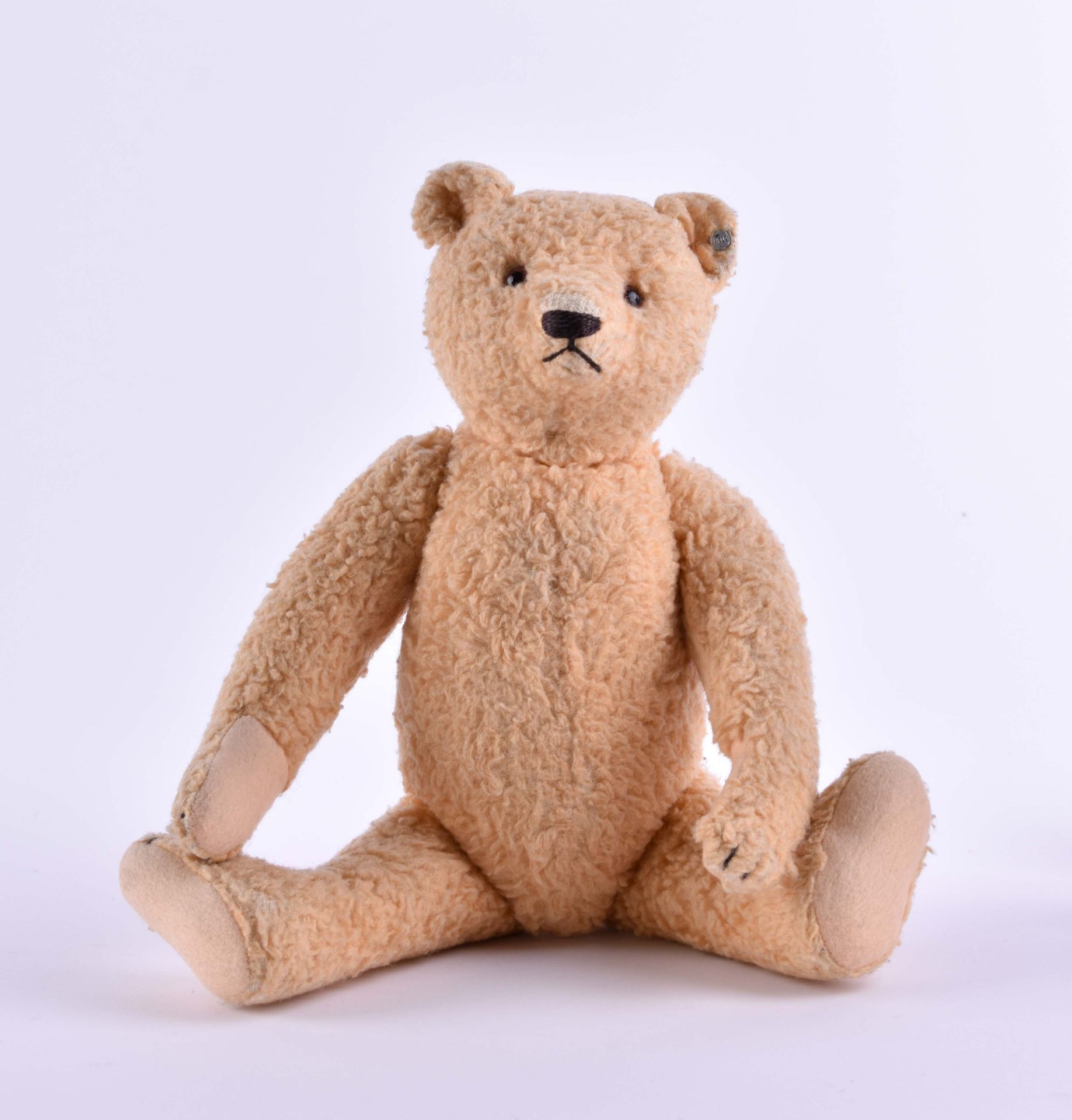 Steiff Teddy um 1920/30