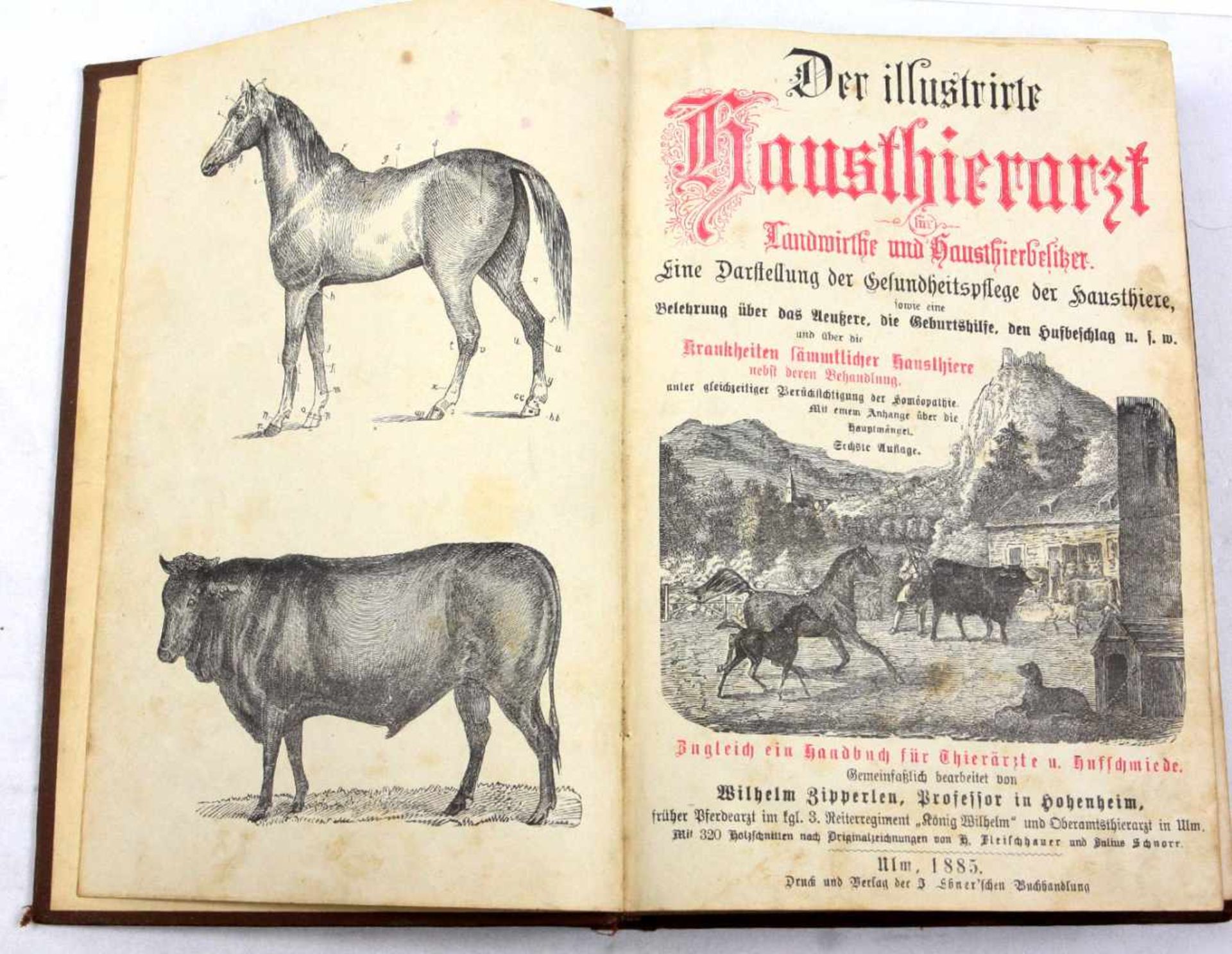 Der illustrirte Hausthierarzt Ulm 1885für Landwirthe und Hausthierliebhaber, eine Darstellung der