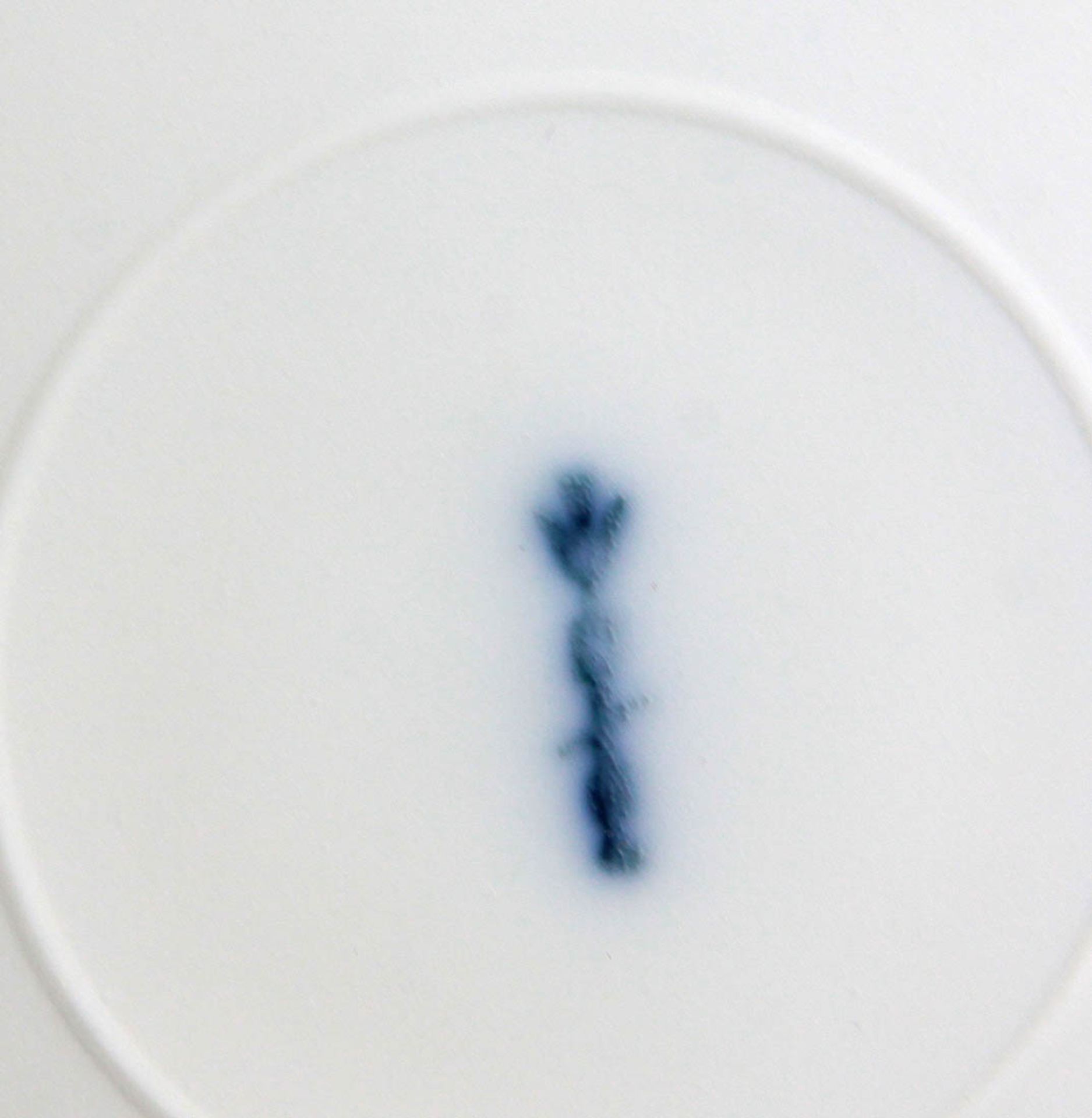 KPM Tellerweiß glasiertes Porzellan mit unterglasurblauer Zeptermarke Königliche Porzellanmanufaktur - Bild 2 aus 2
