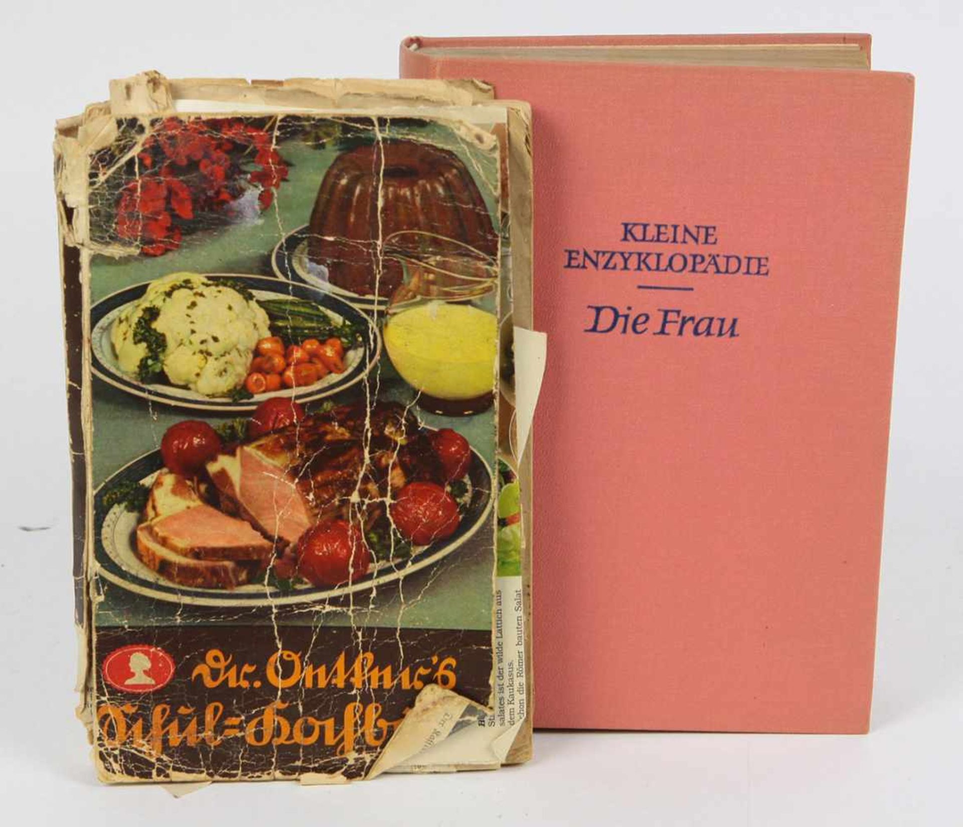 Enzyklopädie und KochbuchKleine Enzyklopädie *Die Frau* 860 S. mit 740 Strichzeichnungen im Text, 84