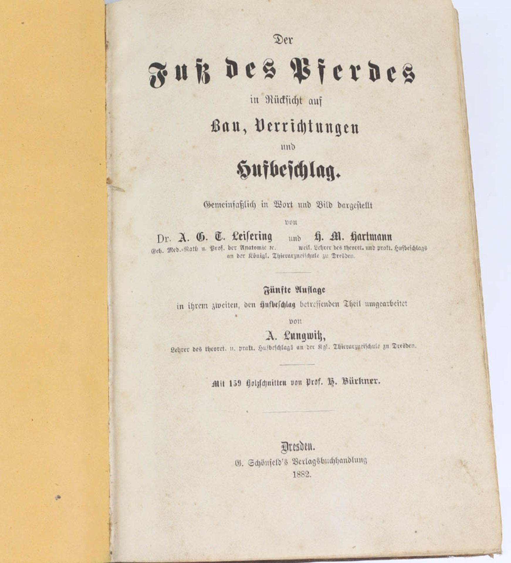 Der Fuß des Pferdesin Rücksicht auf Bau, verrichtung und Hufbeschlag, gemeinschaftl. in Wort u. Bild