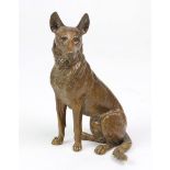 SchäferhundBronze, naturalistische Ausformung eines sitzenden Schäferhundes mit gespitzten Ohren,