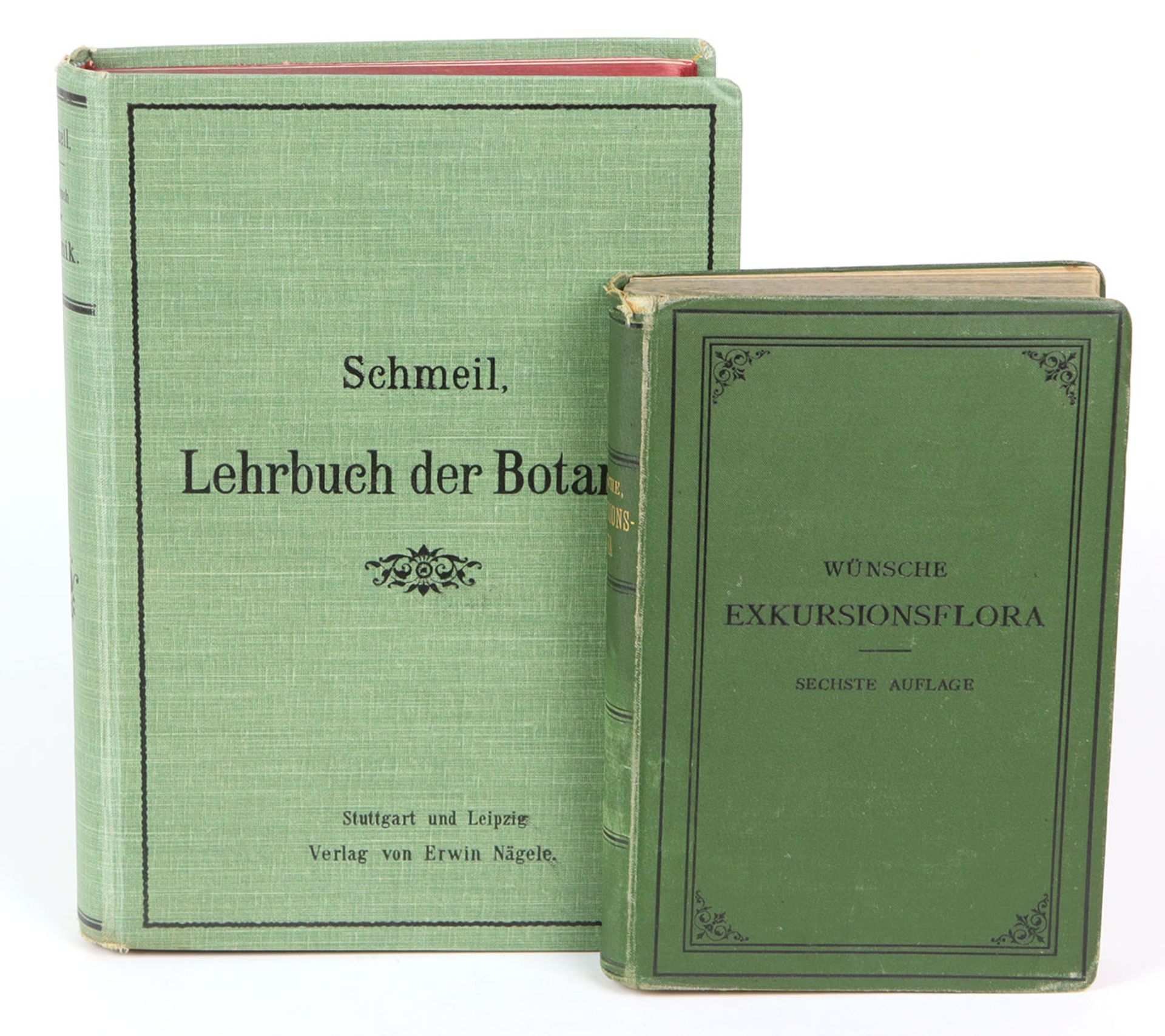 Lehrbuch der Botanik für höhere Lehranstaltenund die Hand des Lehrers, Otto Schmeil, mit 38 farbigen