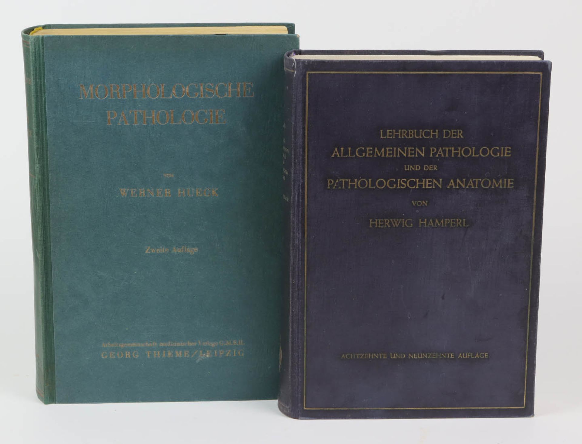 2 Bände Pathologie*Morphologische Pathologie* von Prof. Dr. Werner Hueck, Georg Thieme Verlag