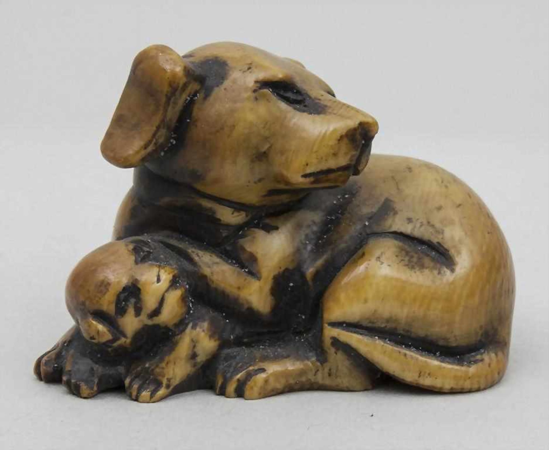 Netsuke, Hündin mit Welpe, Japan, 19. Jh.sehr feine Darstellung einer liegenden Hündin mit ihrem