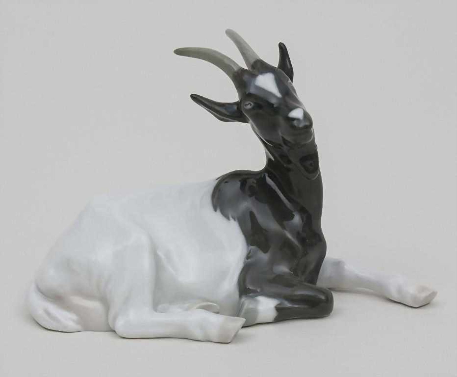 Tierplastik 'Ziege' / A Goat, Meissen, Pfeifferzeit (1924-1934)sitzende Ziege naturalistisch